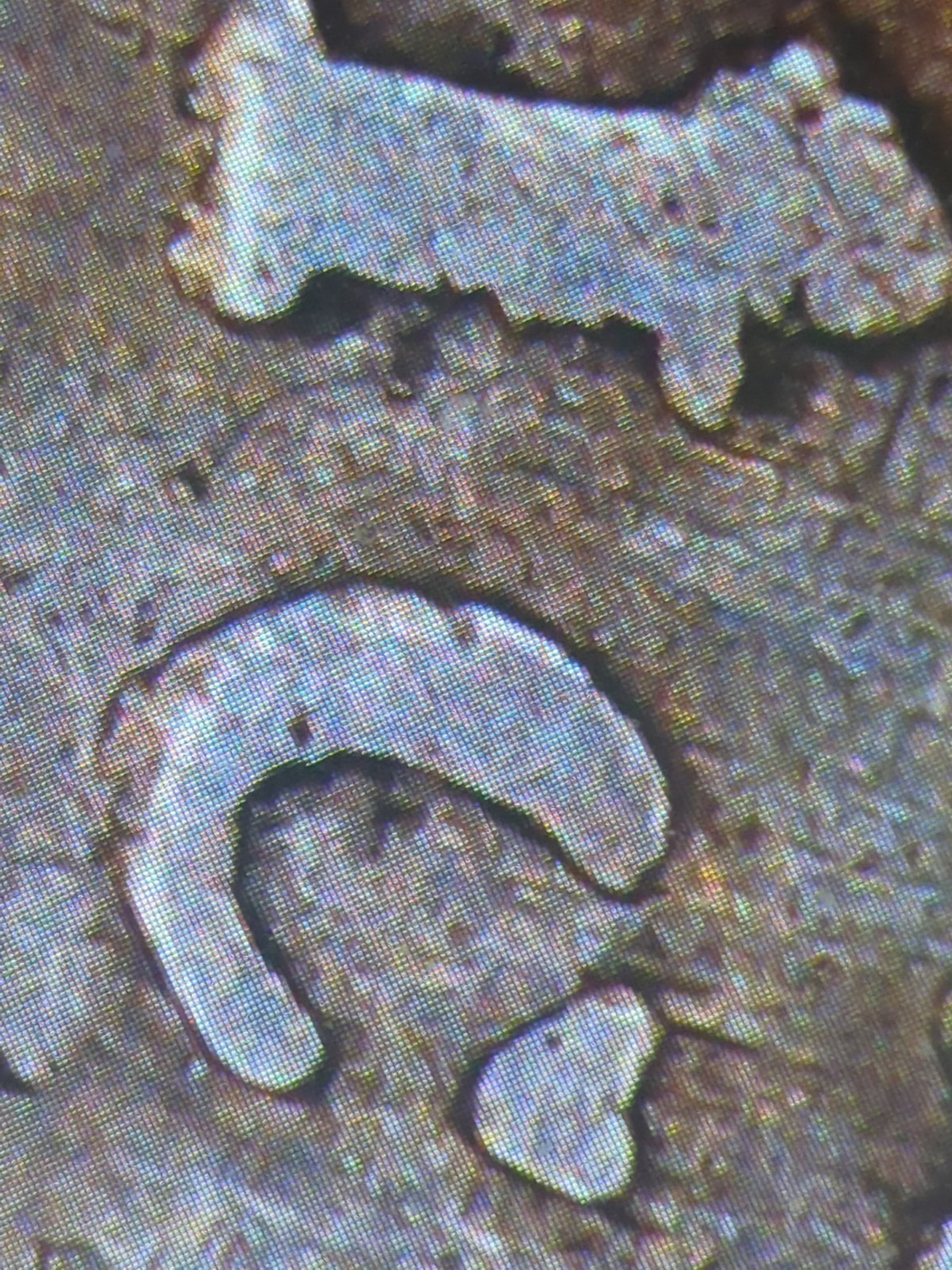 1874 H -Small Date -CANADA SILVER 5 CENTS COIN- Multiple Die Errors (Q5458) F+