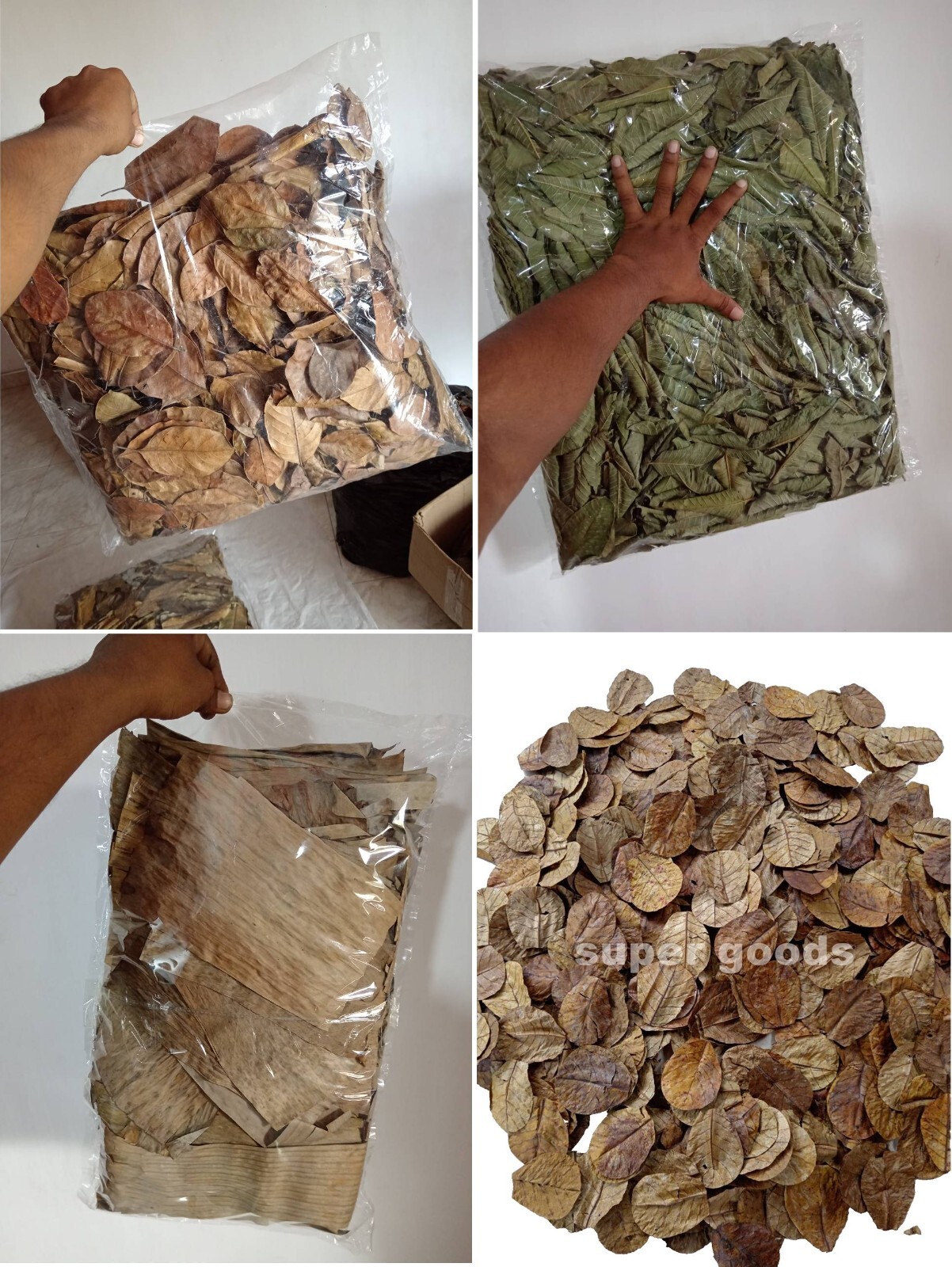 500PCS Dried Almond Guava Jack fruit Banana Leaf Aquarium Shrimp Betta Fish Care