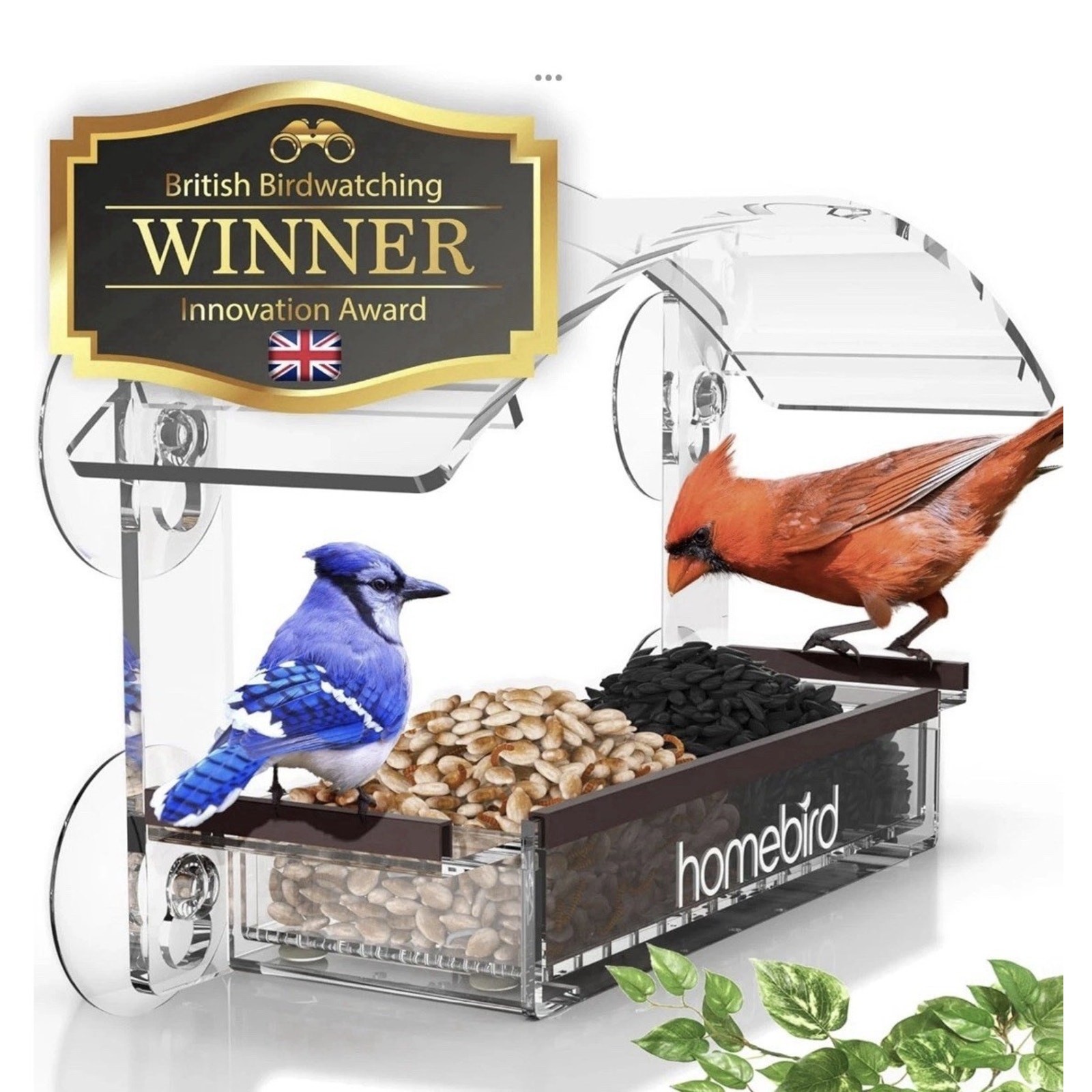 HomeBird Window Bird Feeder NEW Clear Acrylic with Strong Suction Cups
