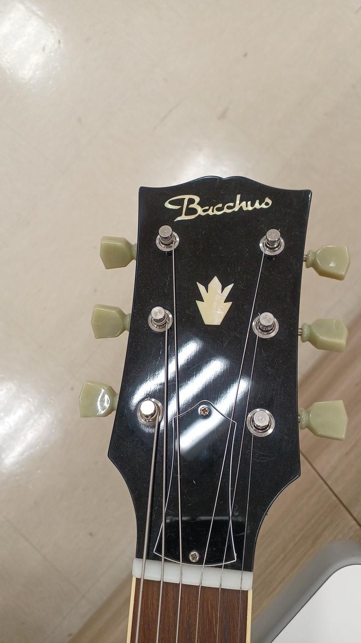 BACCHUS SG TYPE SG type