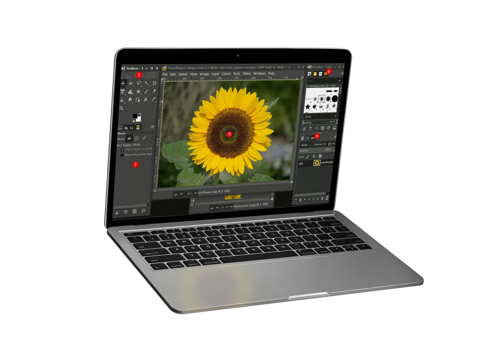 GIMP Pro 3.0.4 (2025 Edition) Graphic Design - Image Editing Software ~ Mac CD
