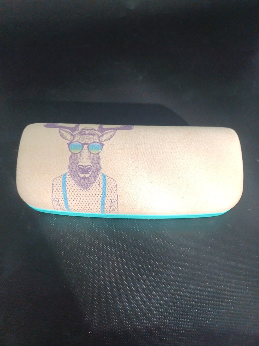 Cloth Covered Metal Moose design Eyeglass Sunglass case Seafoam Blue Orange