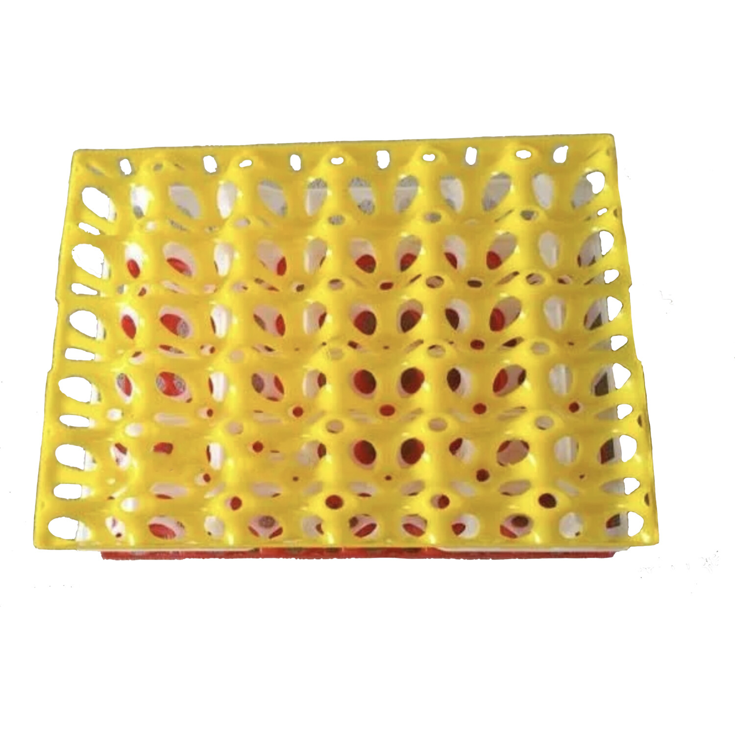 Drip Depot Plastic Chicken Egg Tray