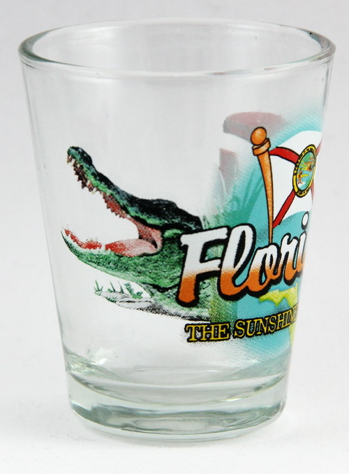 FLORIDA SUNSHINE STATE ELEMENTS SHOT GLASS SHOTGLASS