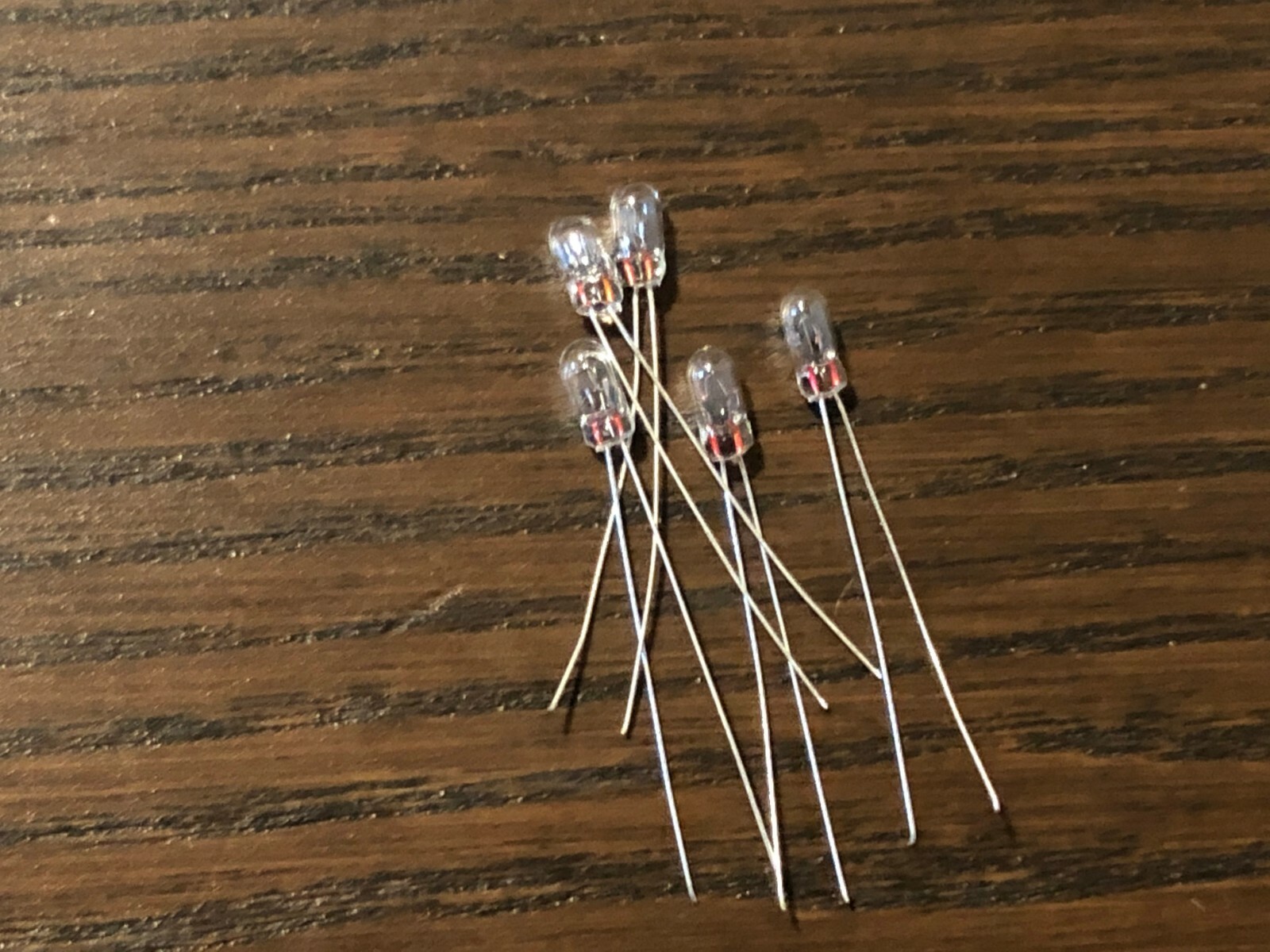 5 New Grain-of-Wheat Bulbs 12v 40mA Lamps Vintage Receiver Lights 2.5MM