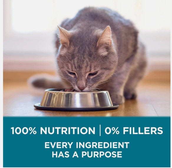 Purina ONE Natural Dry Cat Food, Tender Selects Blend With Real Chicken, 22 lbs