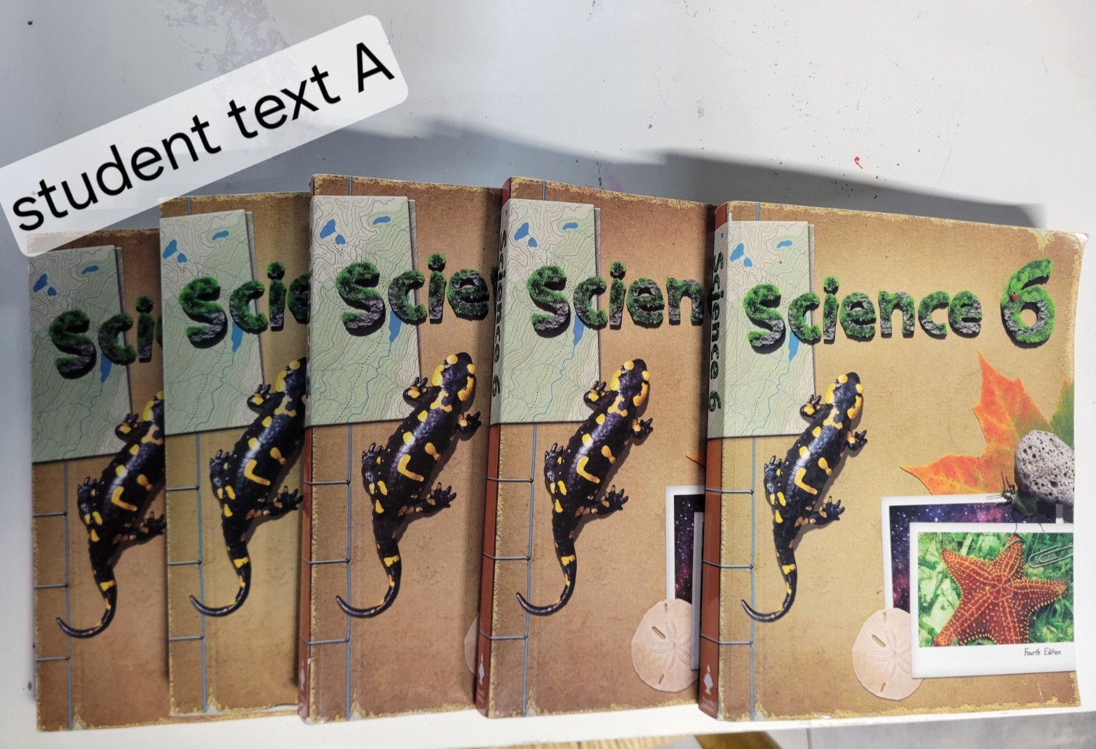 BJU Science 6 4th Edition Curriculum