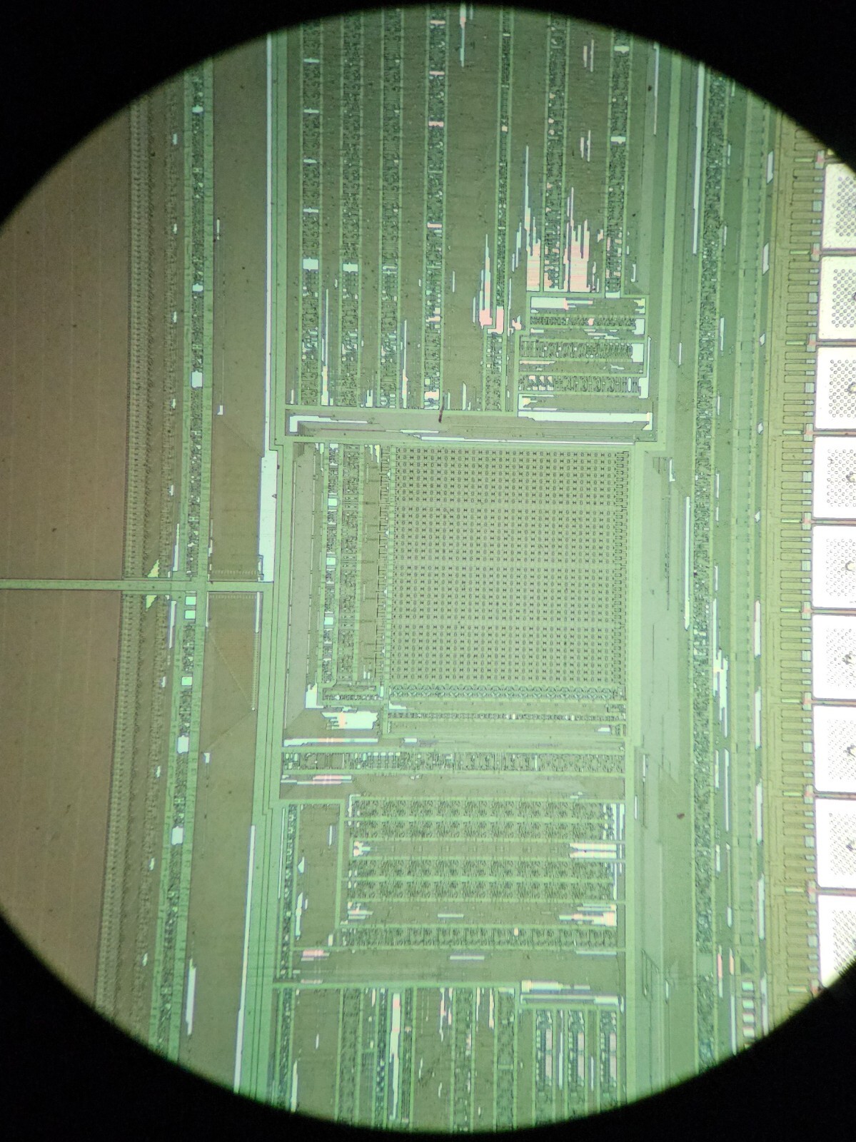 microscope slides