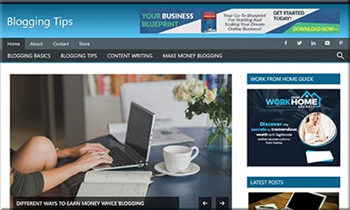 The Best Blogging Tips Ready Made Blog with Content