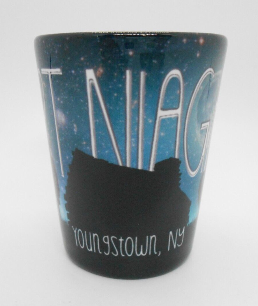 Old Fort Niagara Youngstown New York USA Night Sky Souvenir Shotglass