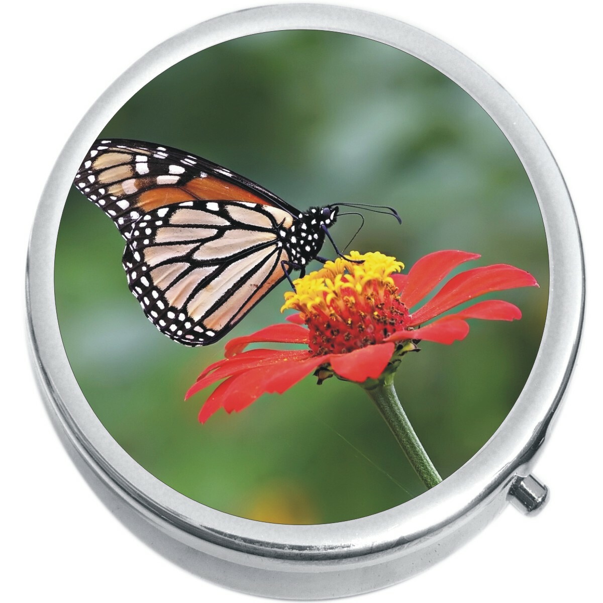 Orange Butterfly Flower Medicine Vitamin Pill Box