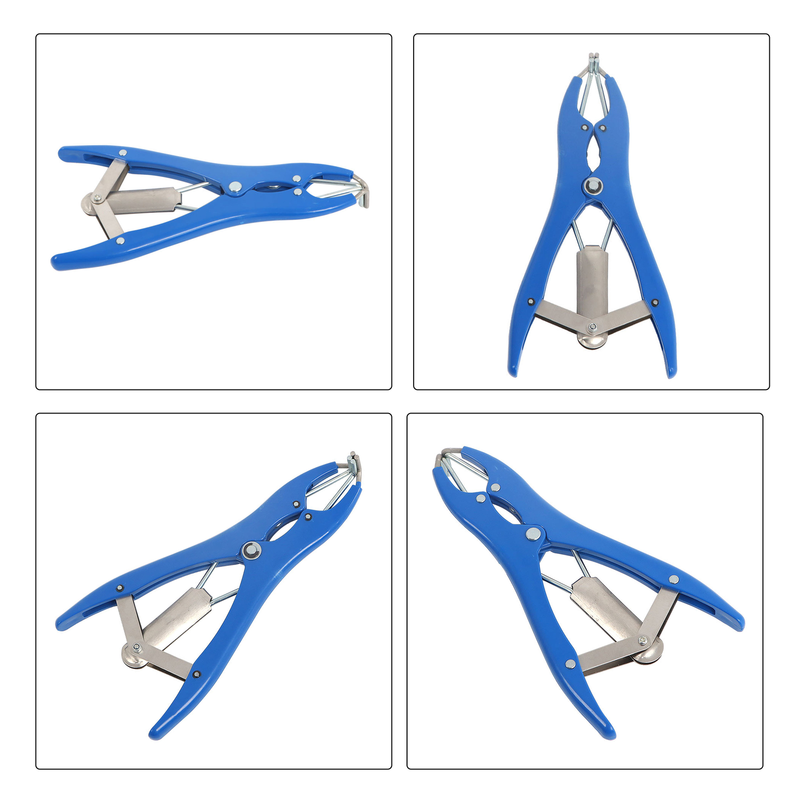 Elastrator Castration Plier With 100 Rubber Rings Applicator Castrator Ring