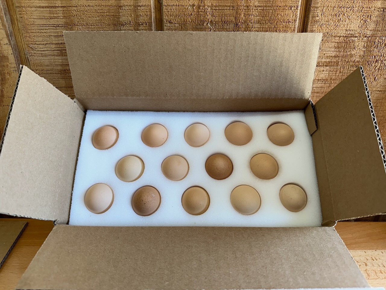 6 SETS - 14 Hole Foam Egg Shippers with Extra Thick Padding! (INCLUDES BOXES)