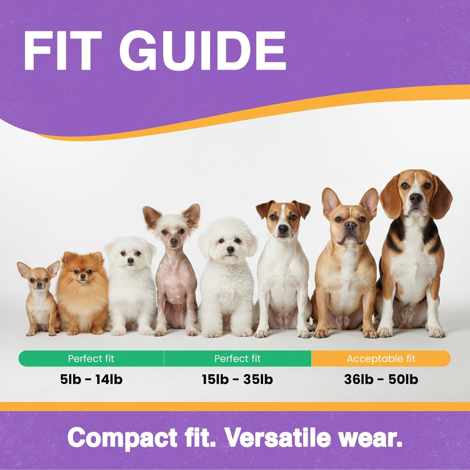 ME-300 Micro E Collar for Dog Training with Remote - 1/3 Mile Range, Waterproof,