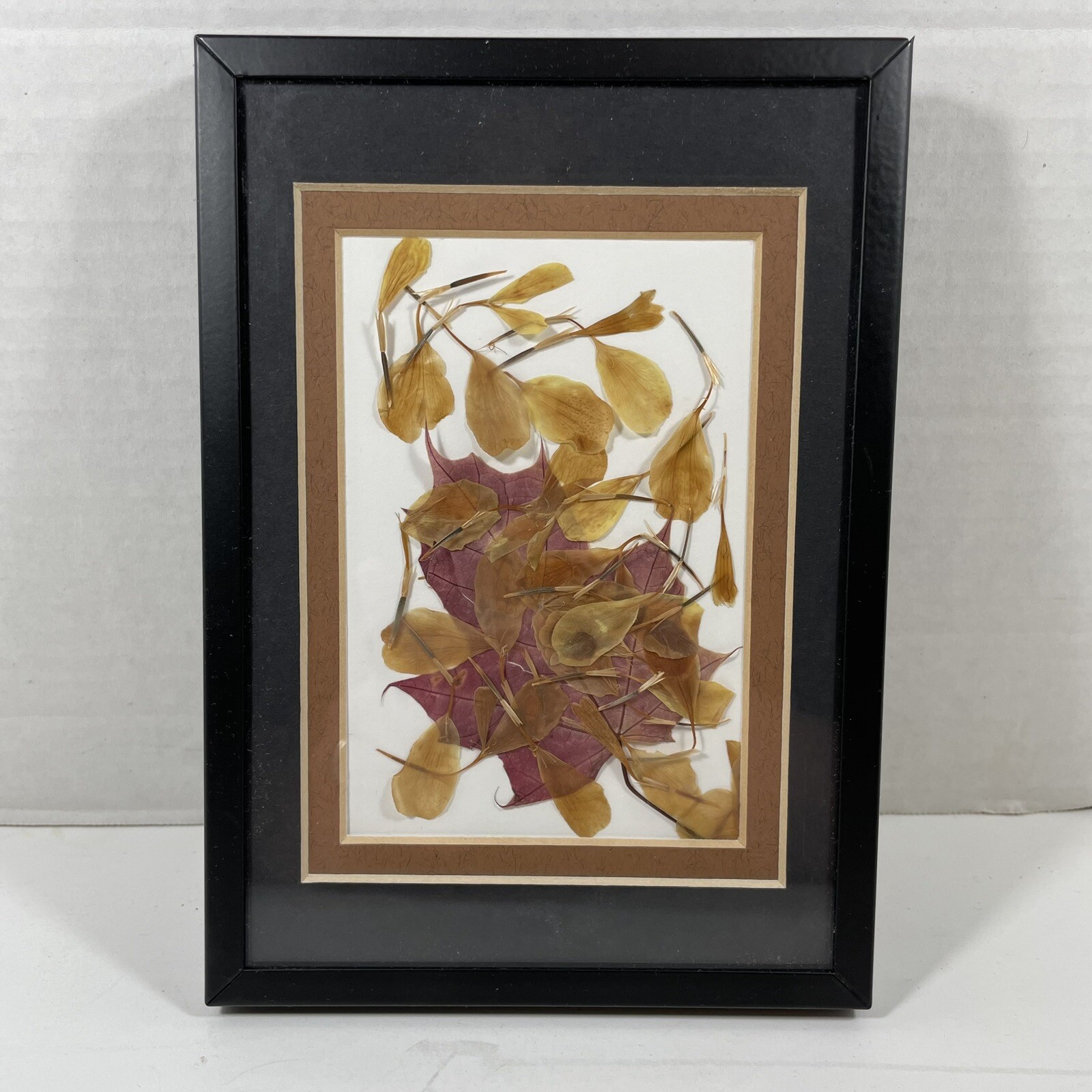 Framed Dried Leaf Collage Purple Yellow Brown Mat Black Frame 5 x 7 Assemblage