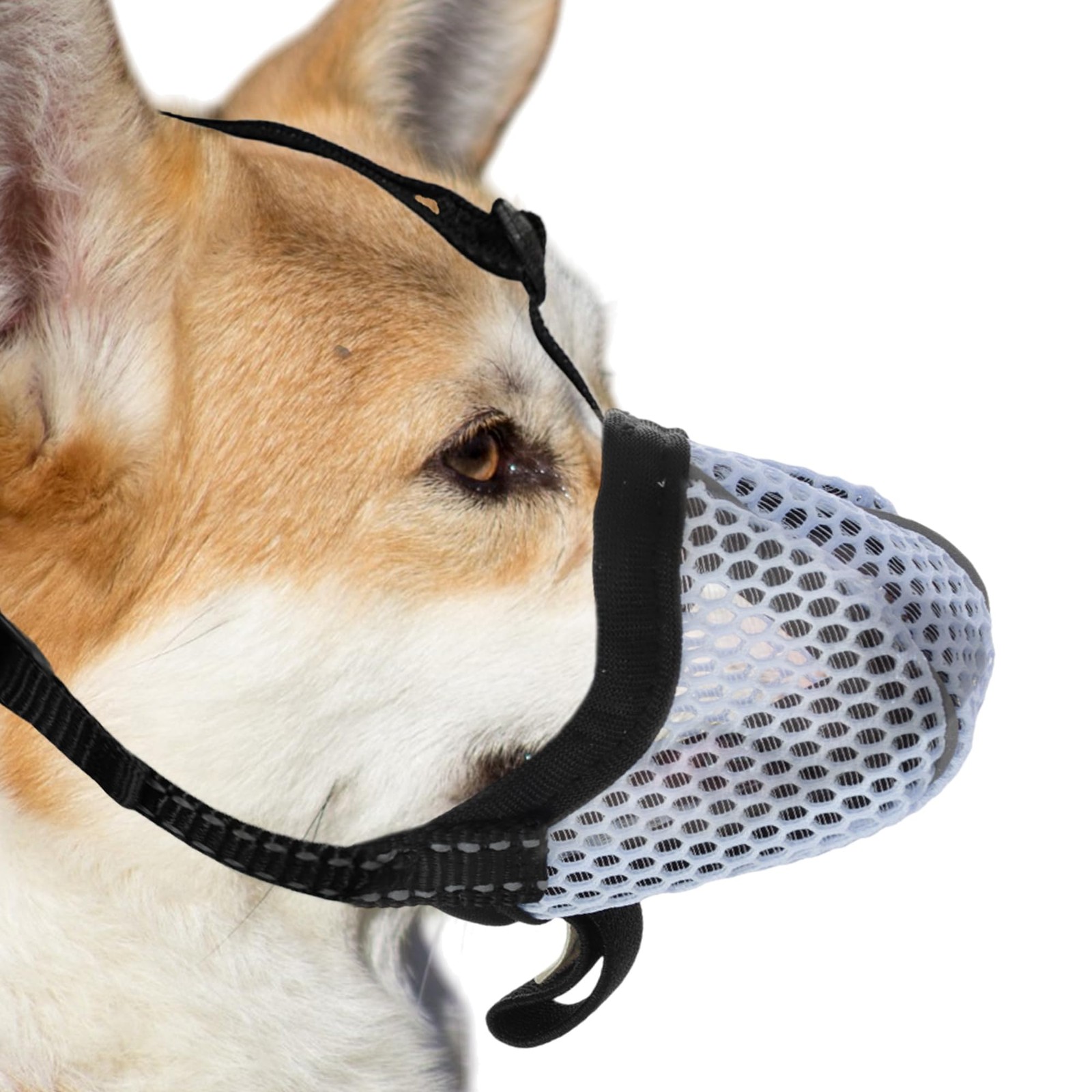 Size XS Blue Reflective Adjustable Breathable Air Mesh Soft Basket Dog Muzzle