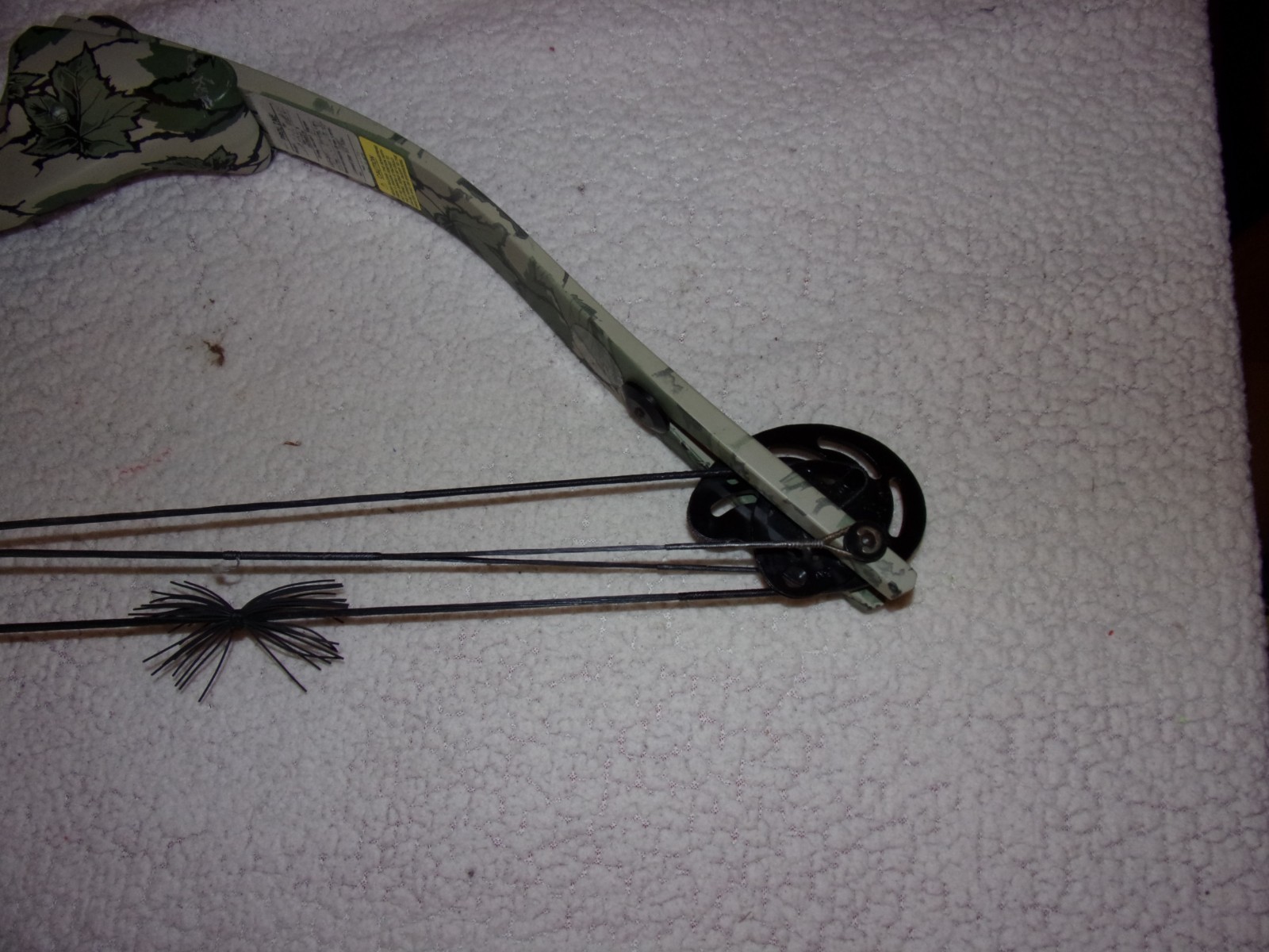 Proline Riptide Compound Bow