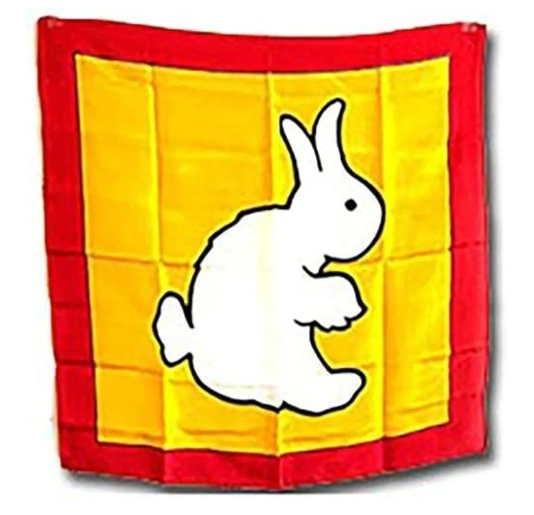 Magic Trick Rabbit to Duck Changing Silk ScarF