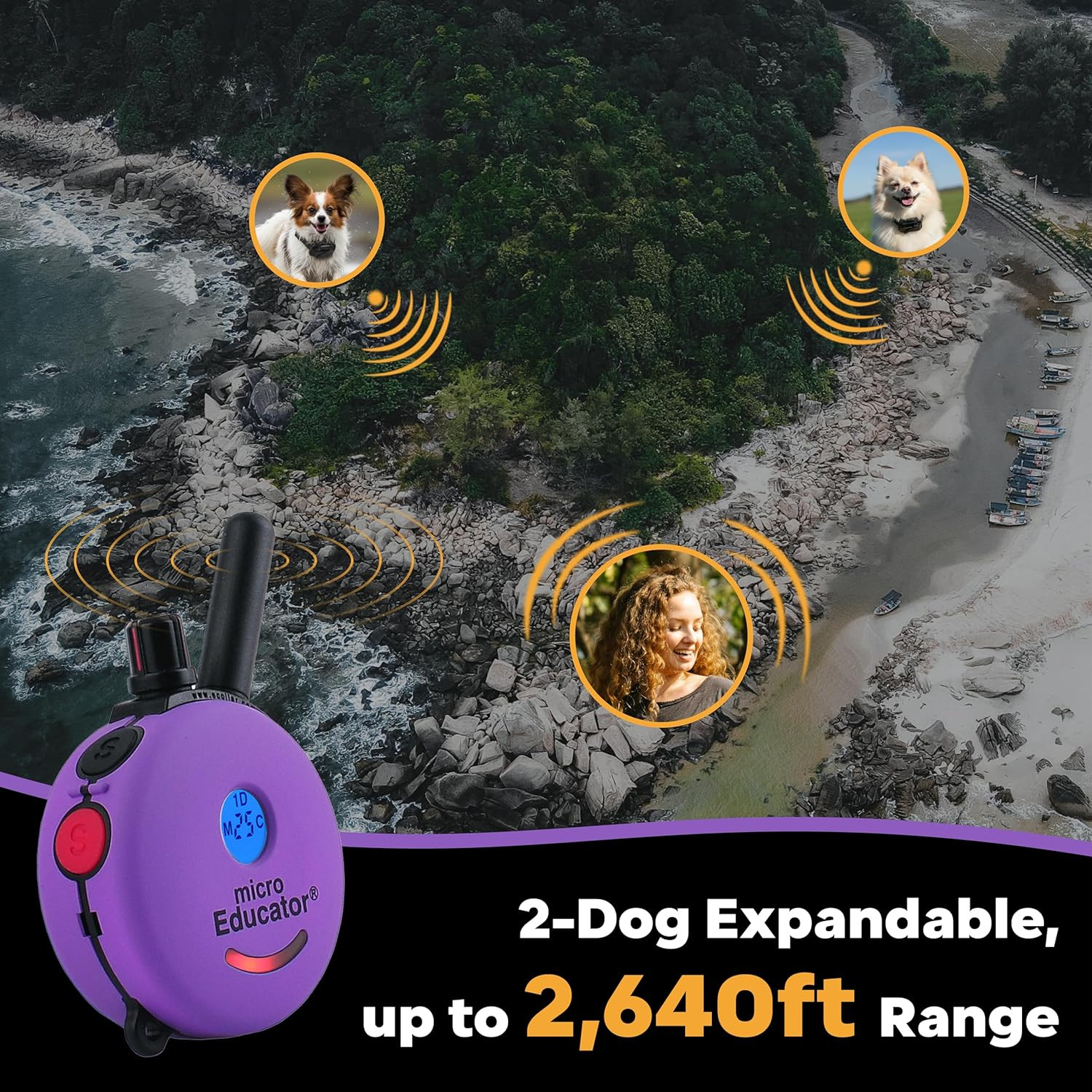 ME-300 Micro E Collar for Dog Training with Remote - 1/3 Mile Range, Waterproof,