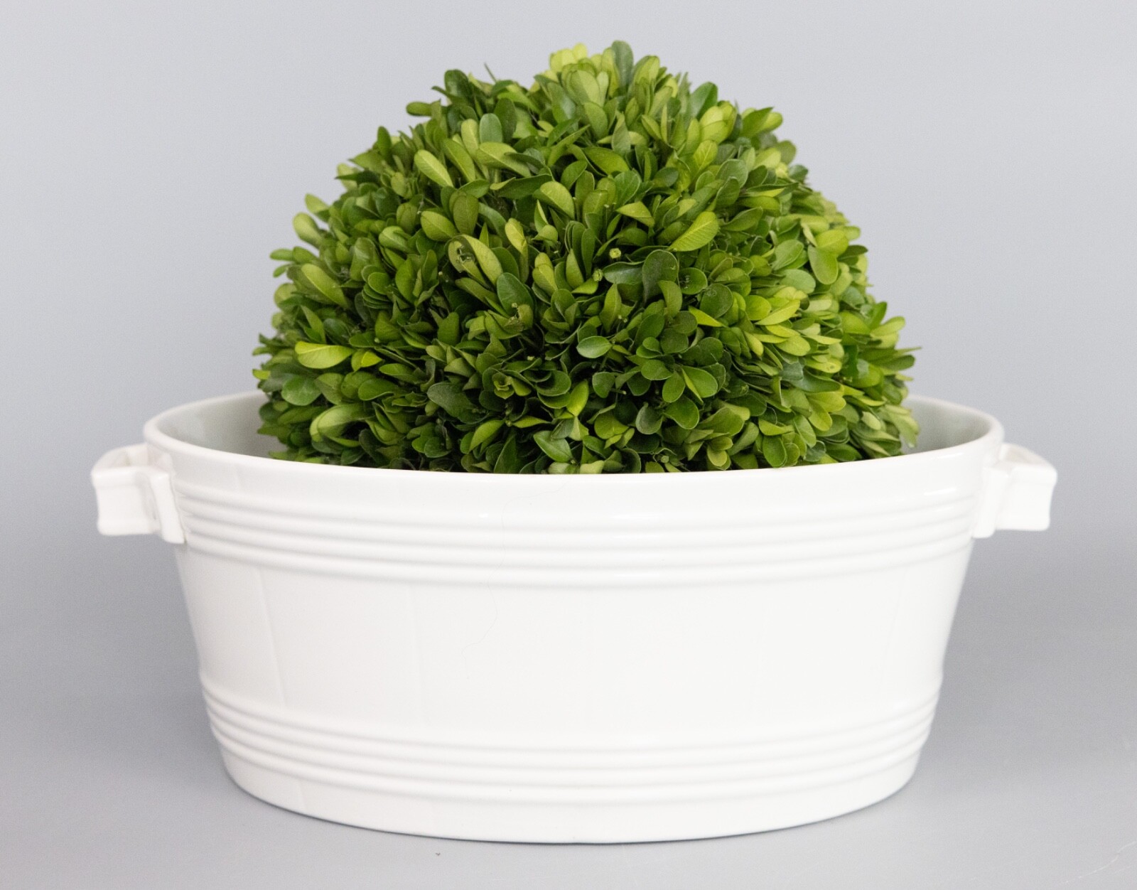 19th Century Dutch White Ironstone Handled Basket Cachepot Planter