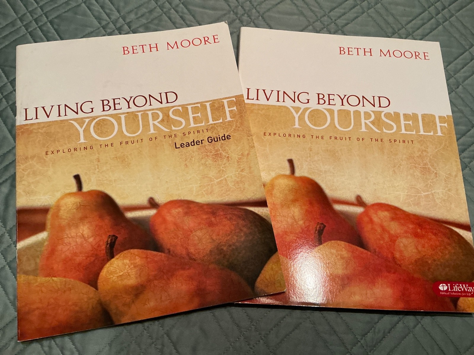 Beth Moore Living Beyond Yourself Fruit of the Spirit 10 Week Study Books Guide