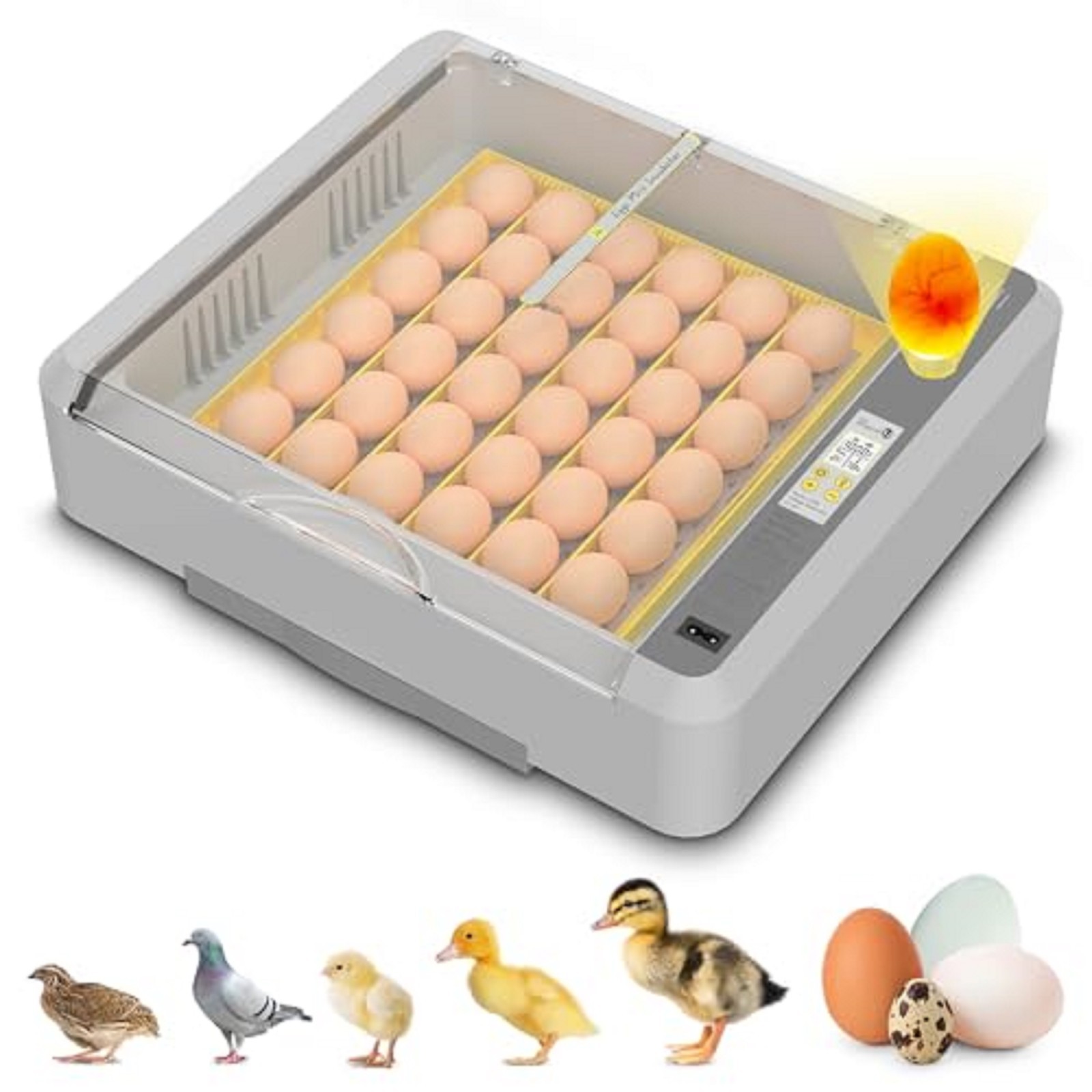 Incubadora De Huevos Automatica Para Huevos De Pato Gallina Codorniz 36 Huevos