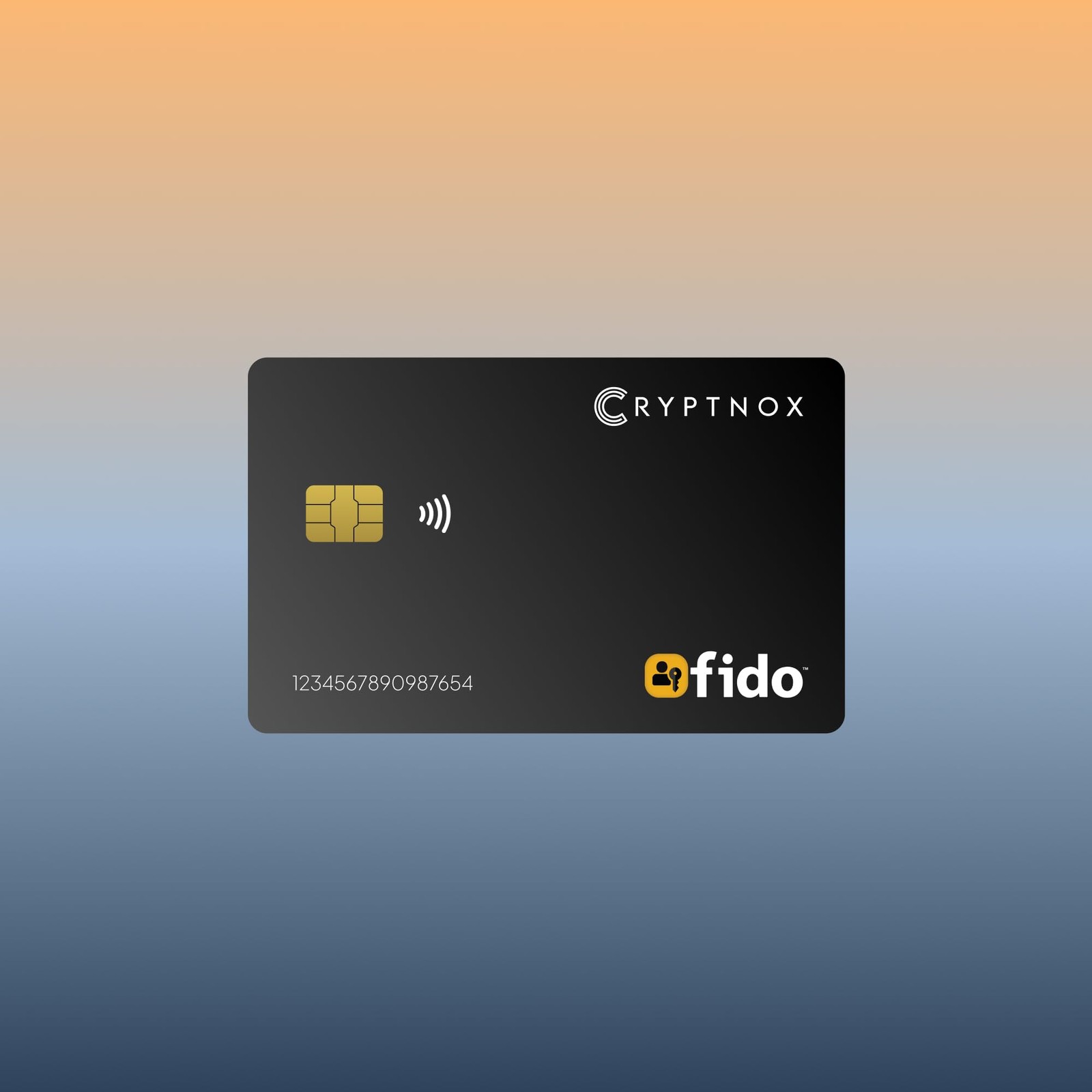 Cryptnox FIDO2 Security Key, Two Factor Authentication (2FA) NFC Black