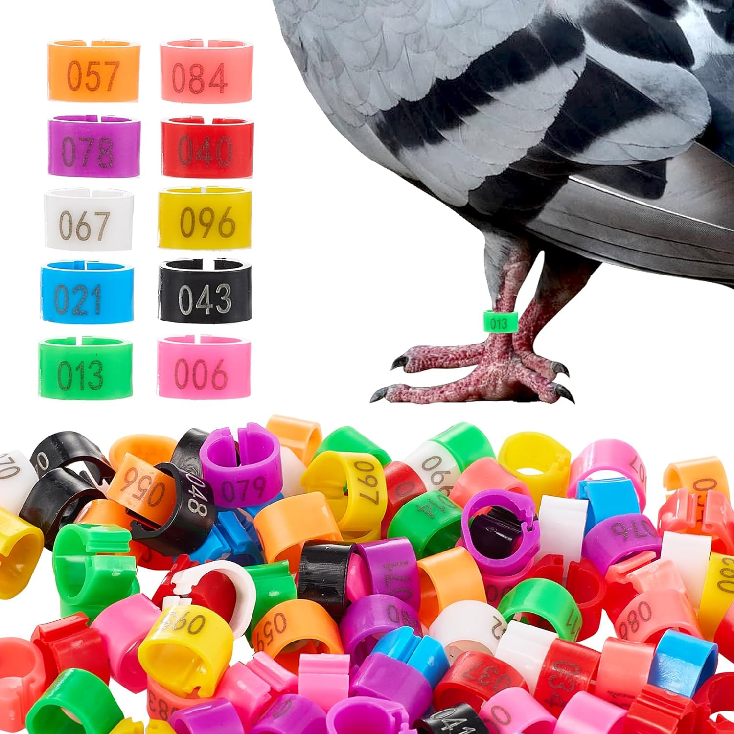 100 Pcs 8Mm Bird Pigeons Leg Bands with 10 Colors Colorful Numbered Readable