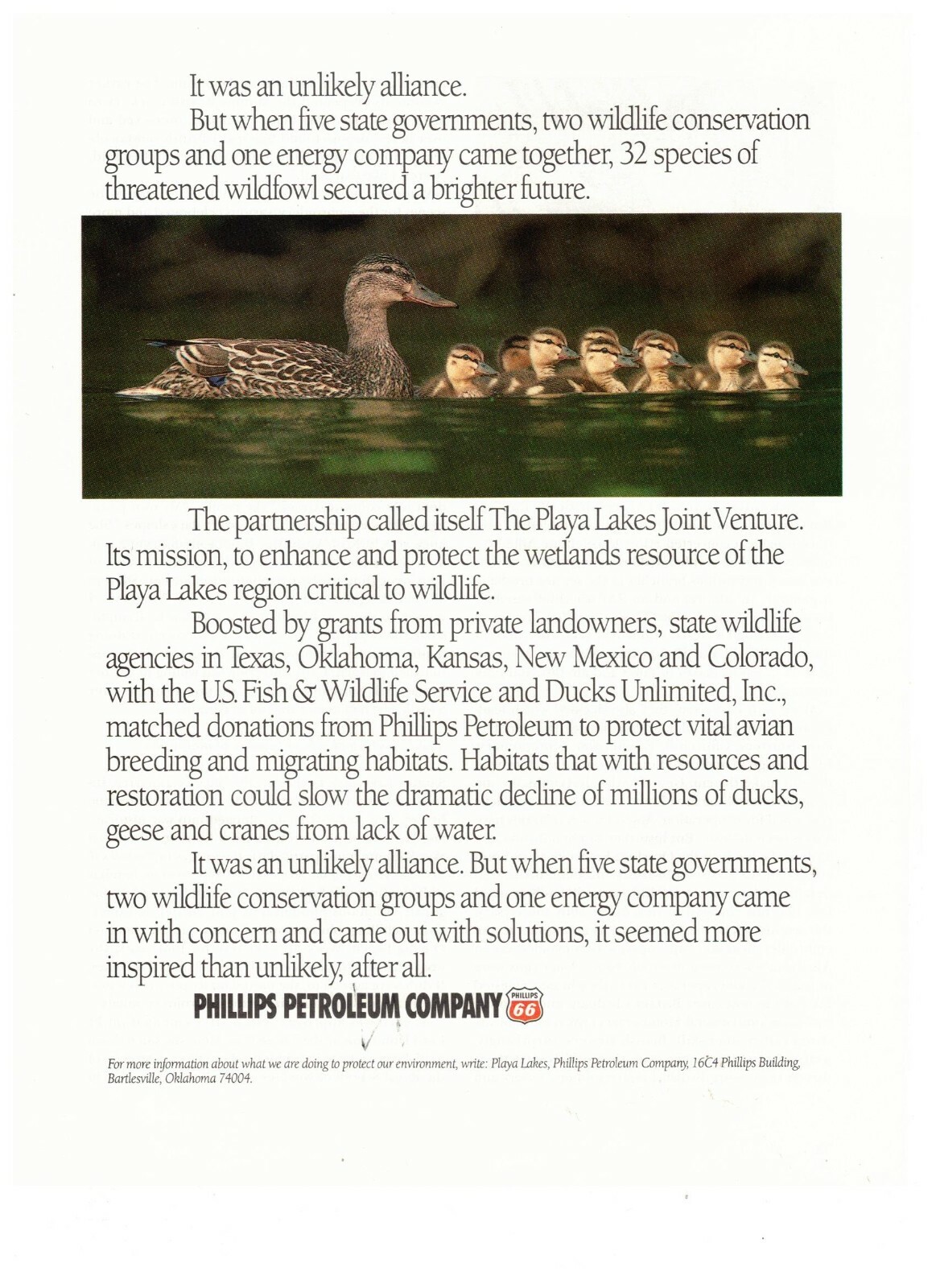 Phillips Petroleum Company 66 Cute Ducks Vintage 1995 Print Ad