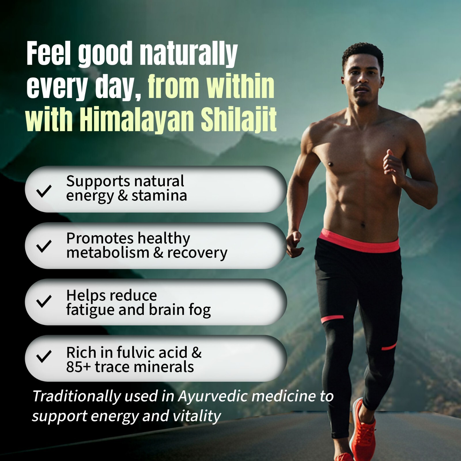 Himalayan Shilajit Paste – Resin Complex 50g – Natural Fulvic Acid Supplement