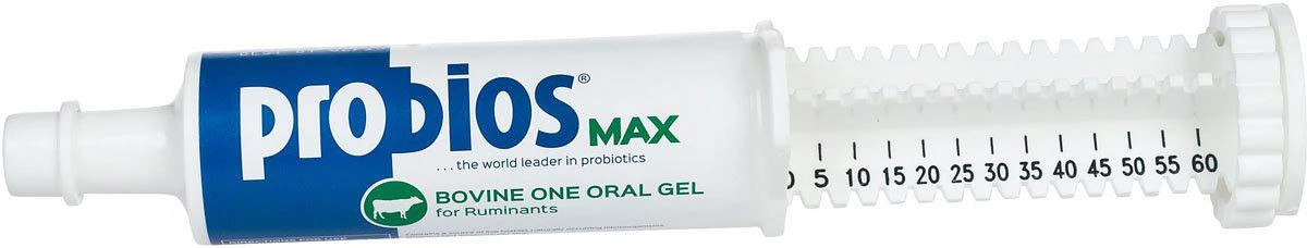 Probios Max Oral Gel Tube 60cc