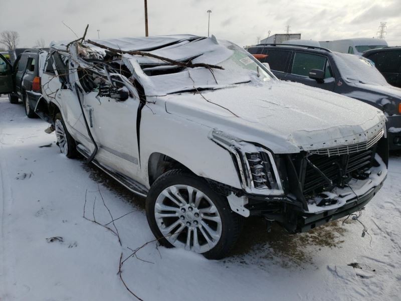 ESCALAESV 2019 Escalade Air Shutter 596979