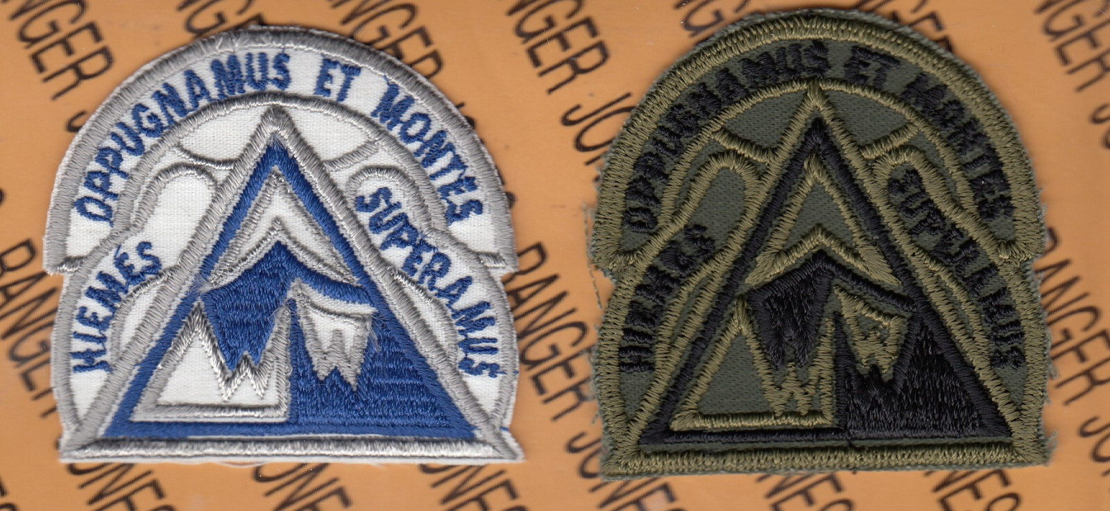 US Army Northern Warfare Training Center Mountain Color & OD ~2.25" patch set