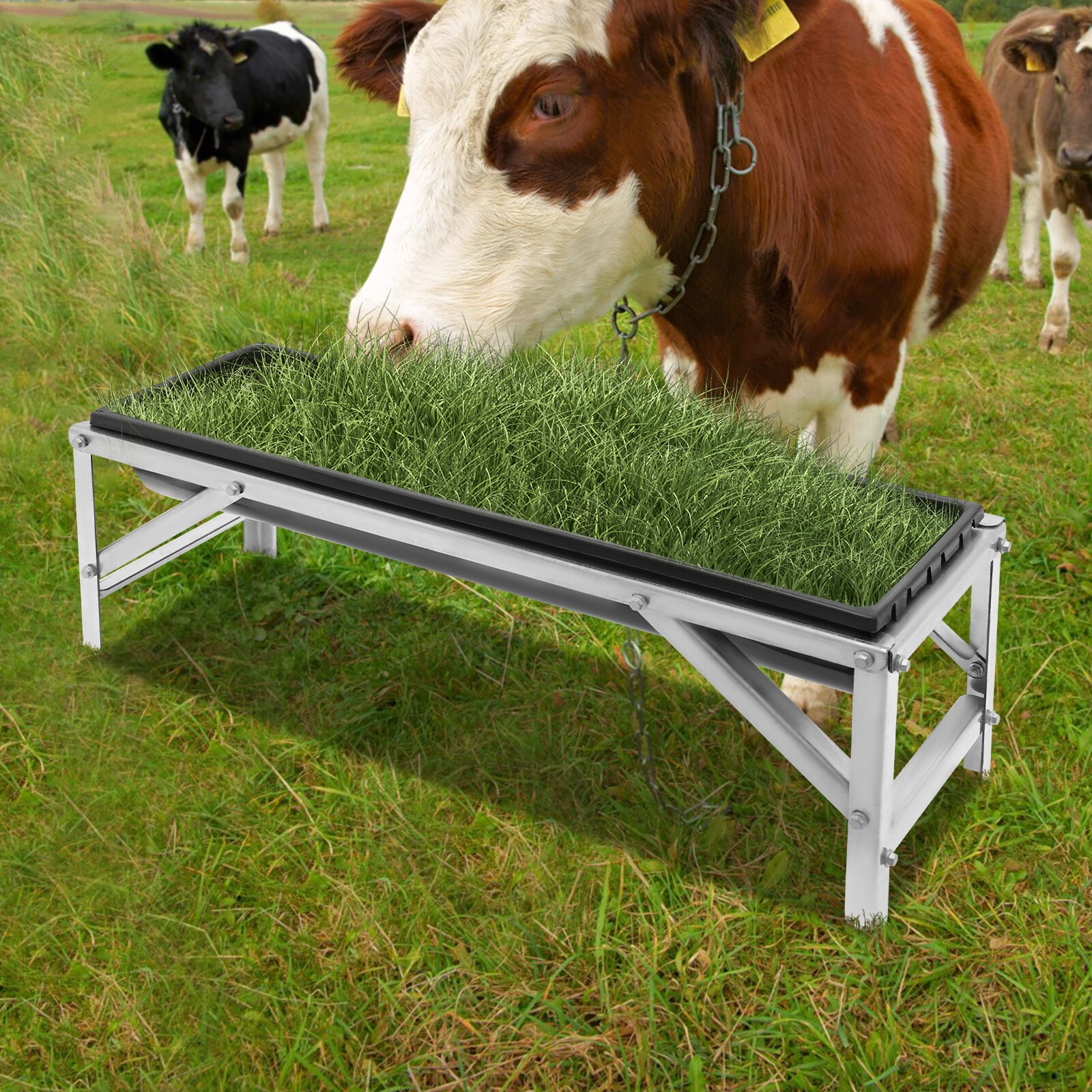 Rectangular Livestock Feed Trough Feeder Feed Trough w/Stand Floor Standing 35L