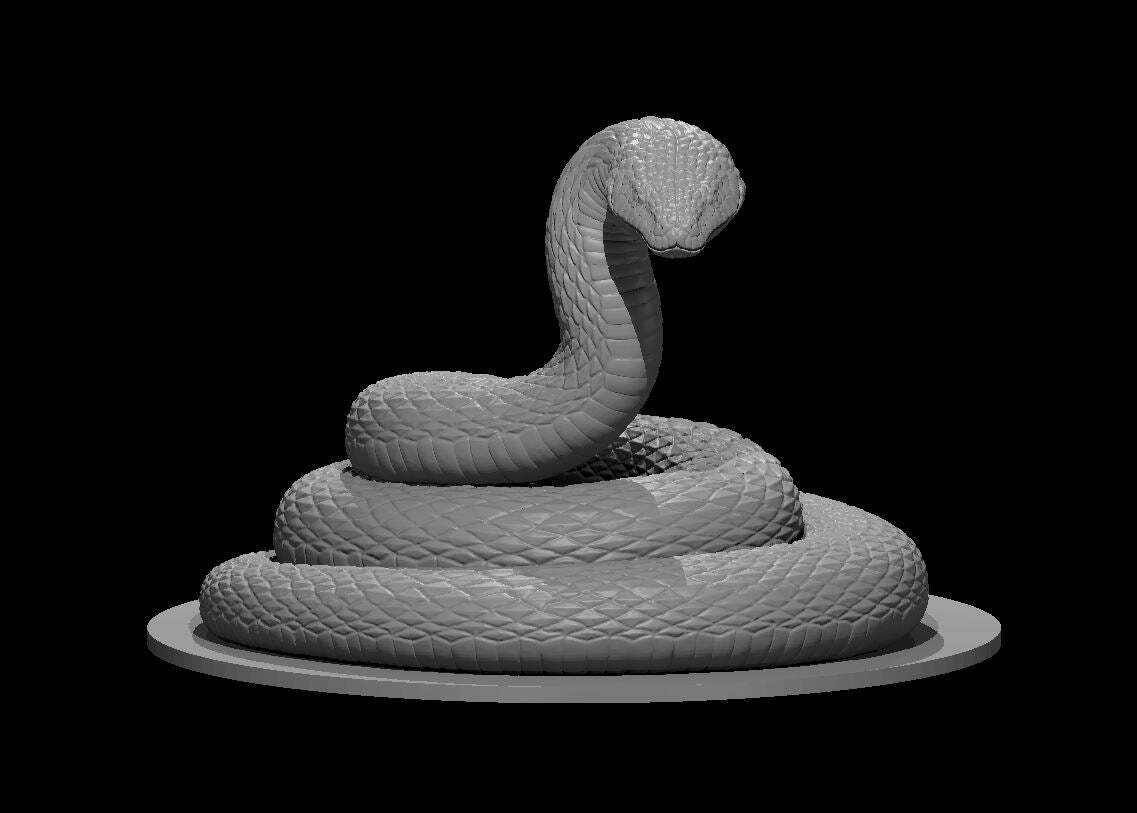 Giant Constrictor Snake - DND - Pathfinder - Dungeons & Dragons - RPG - Tabletop