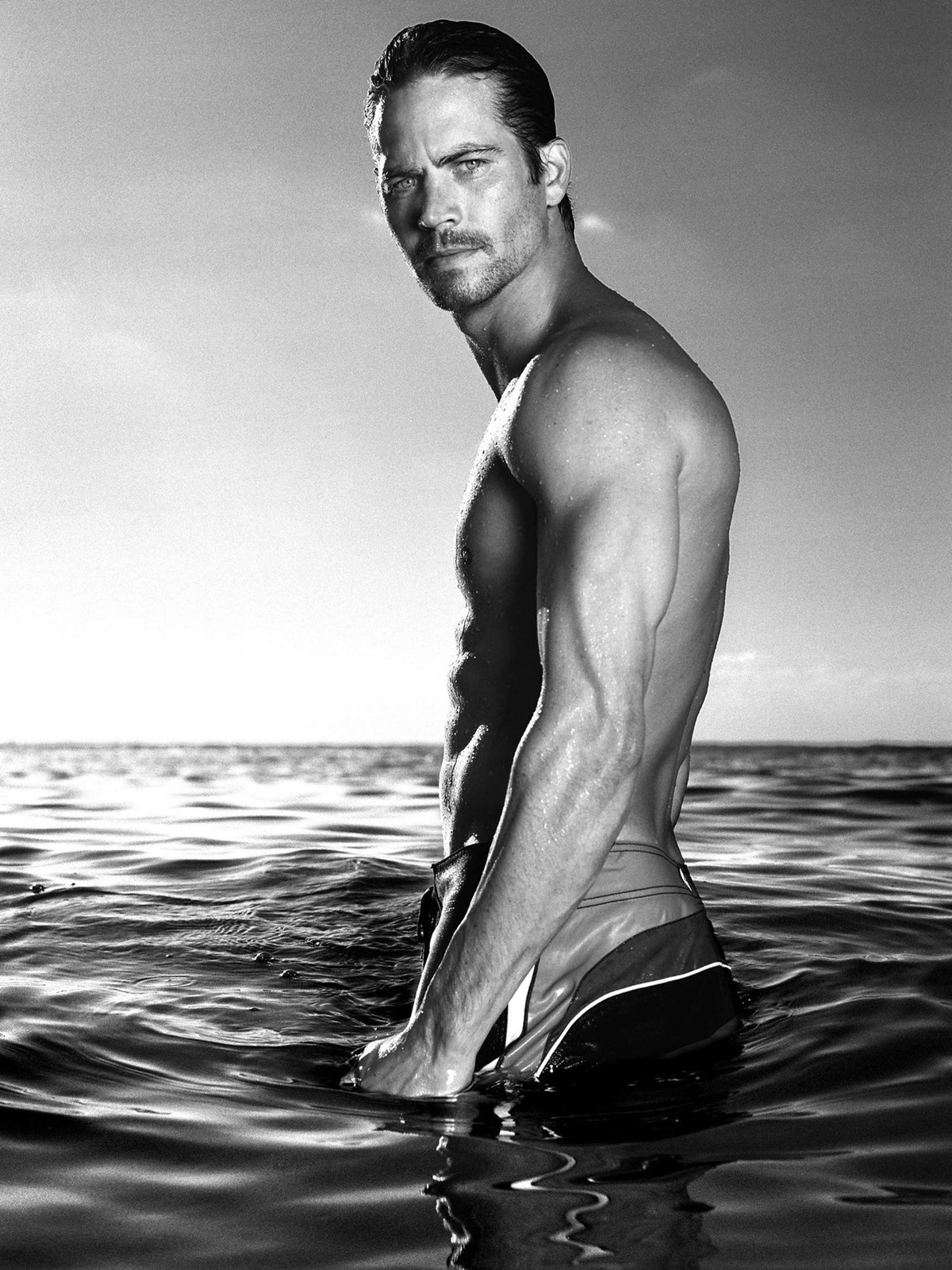 Paul Walker 24X36 Poster Photo Banner - Rare - Hot! 36"L x 24"W, Multicolor