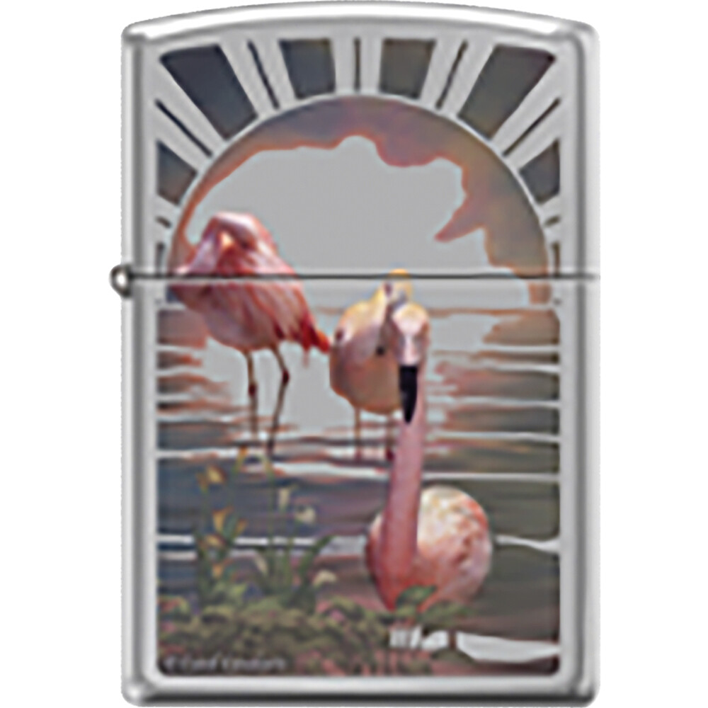 Zippo Flamingo In Wild Life