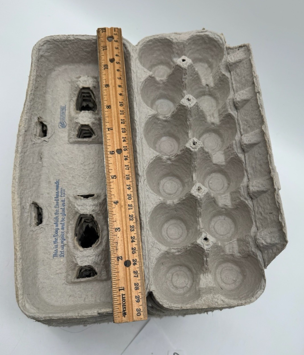 25 PACK - Clean Empty Egg Cartons (12 count) Pulp Paper for Medium or Large Eggs