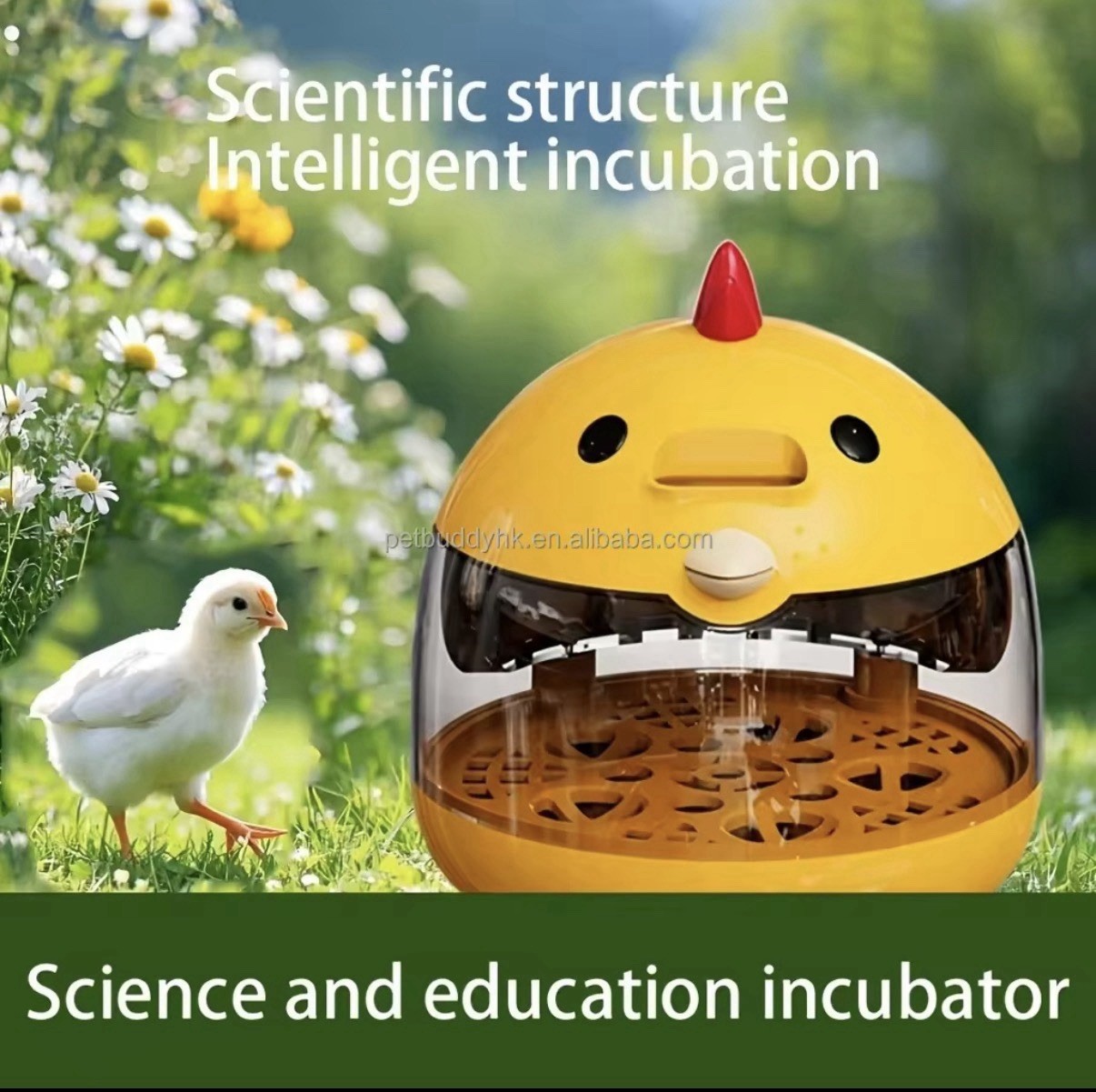 Incubator for Hatching Eggs-4 Egg Capacity Temperature Control, 360° Viewing