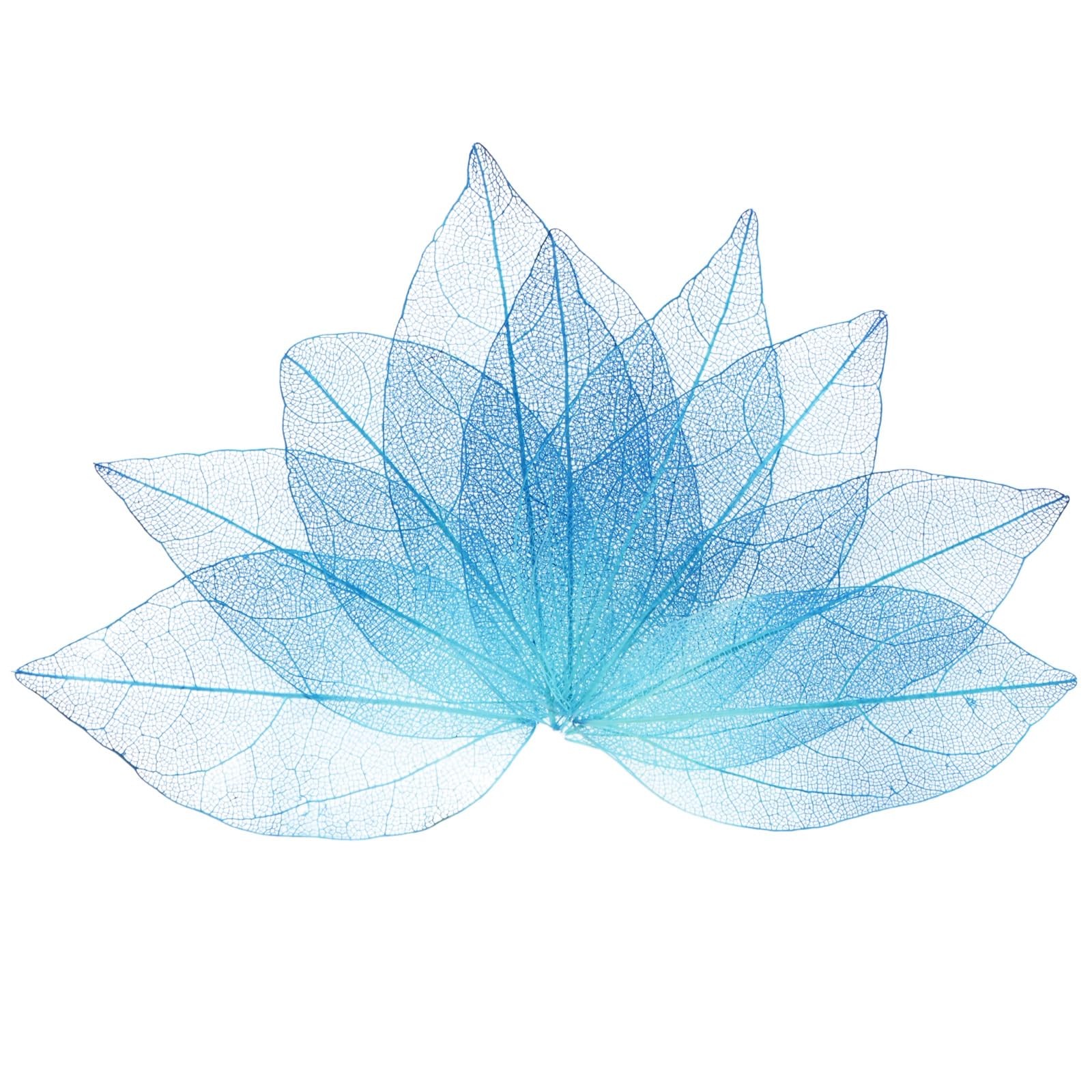 100 PCS Skeleton Leaves Natural Rubber Tree Dried Blue Resin DIY Crafts