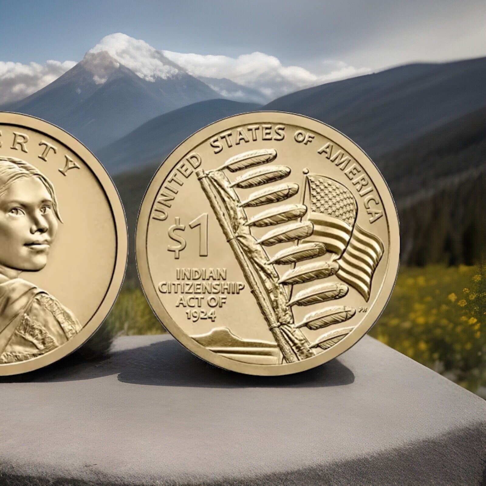 2024-D NATIVE AMERICAN INDIAN CITIZENSHIP ACT UNCIRCULATED DOLLAR Ships Now! 💰