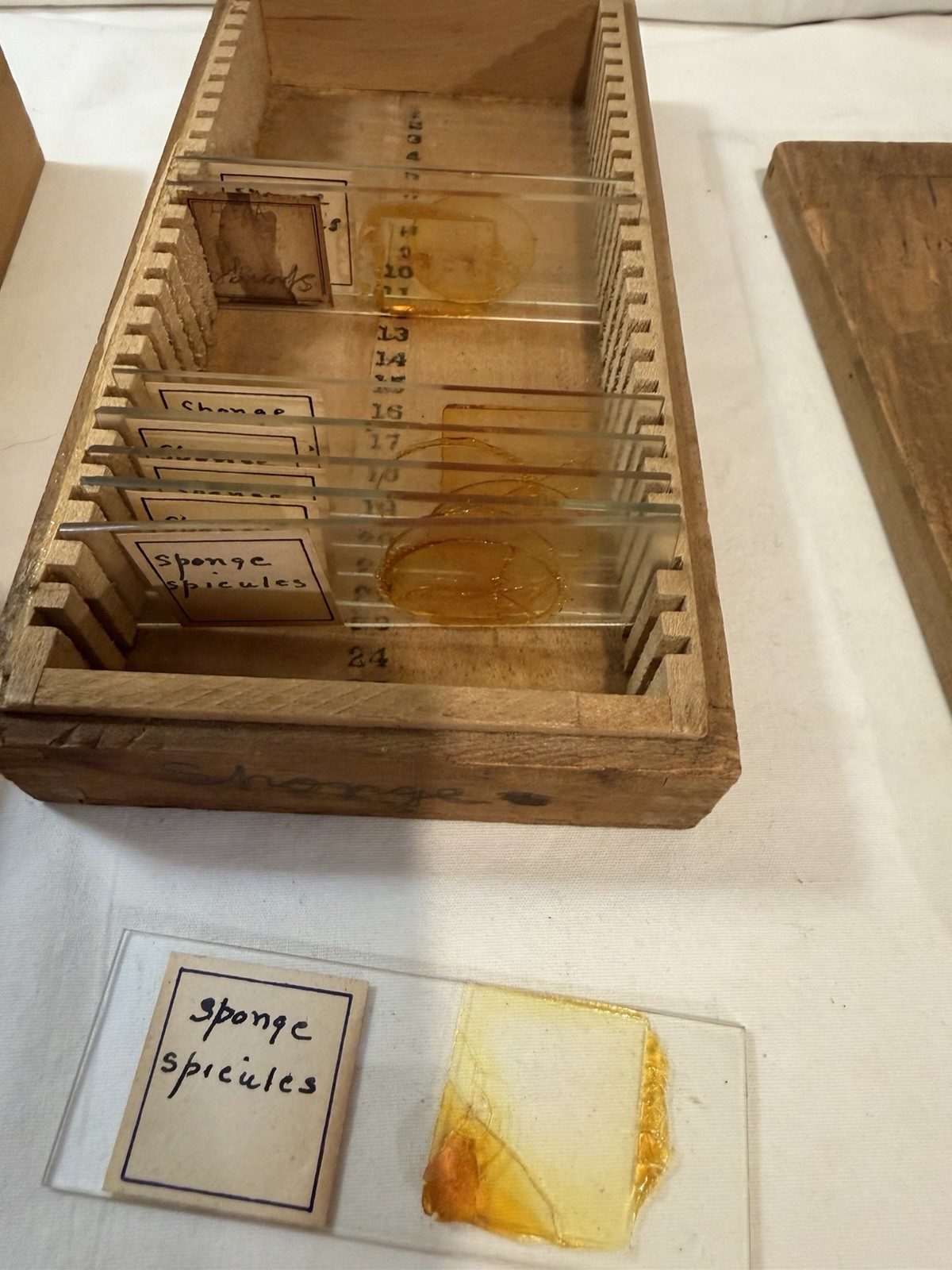 Vintage Microscope Medical Lab Slides