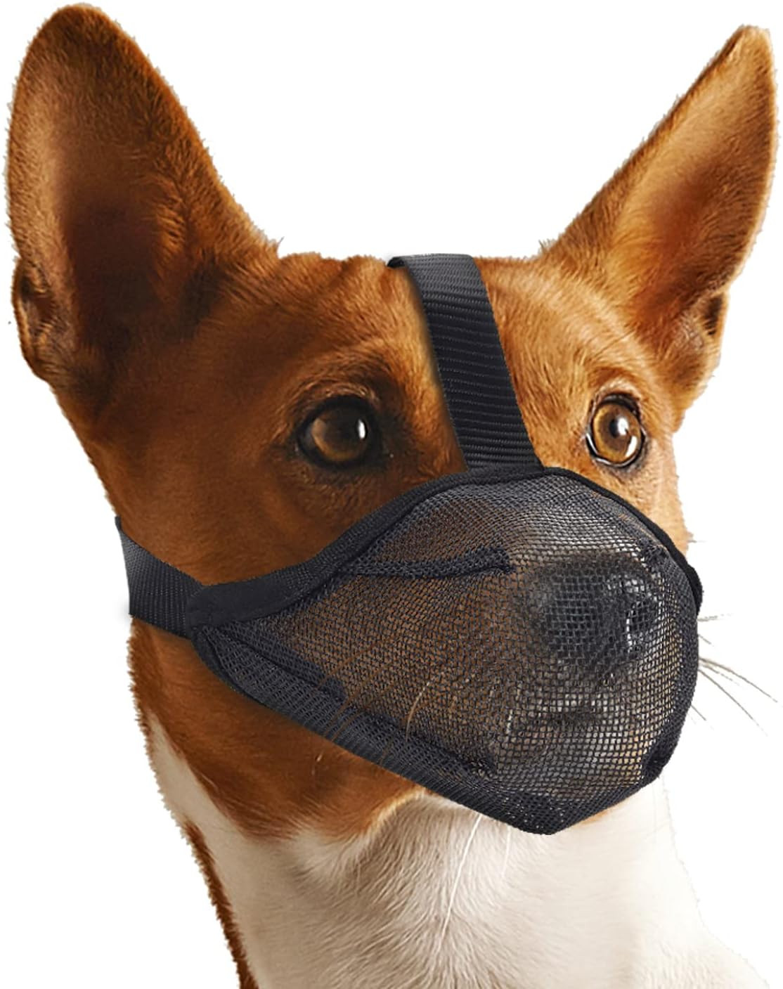 Dog Muzzle for Extra Small Sized Dogs, Air Mesh Dog Mouth Cover Allow Drinking N