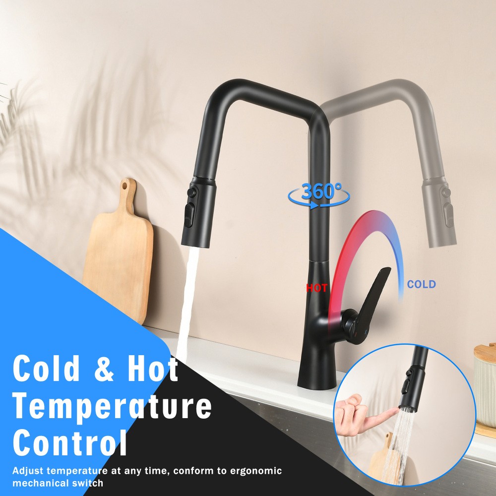 Professional 3 Function Kitchen Faucet Matte Black 360° Sprayer