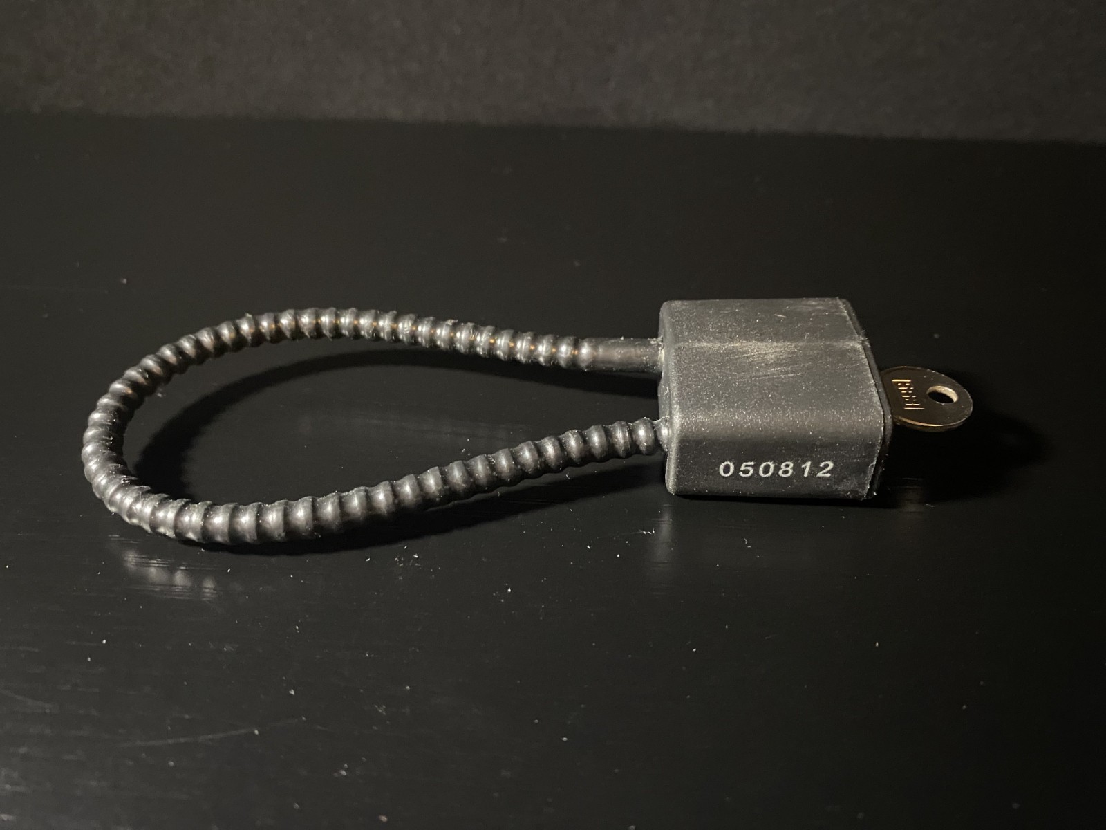Cable Gun Lock 10" 050812