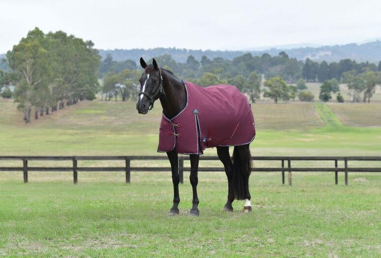 WeatherBeeta ComFiTec Essential Turnout Standard Neck 360G - SALE