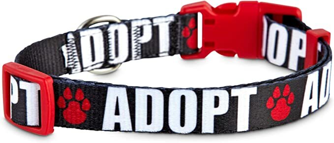 NWT “Adopt” Nylon Dog Collar size Medium good2go