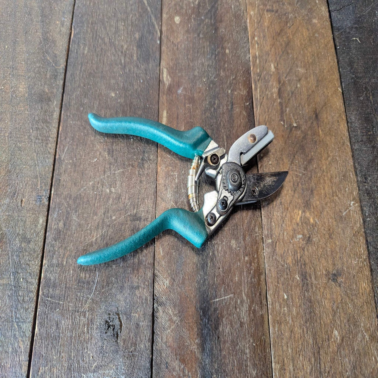 Garden Pruners