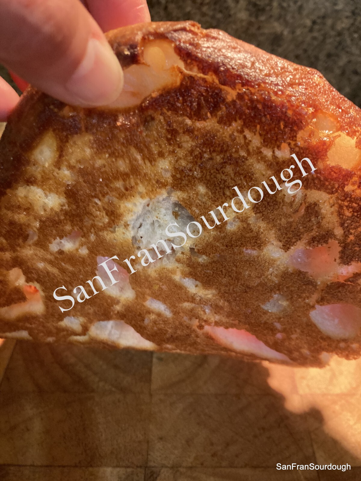 Active Dried Sourdough Starter San Francisco Yeast Bacteria baking bread
