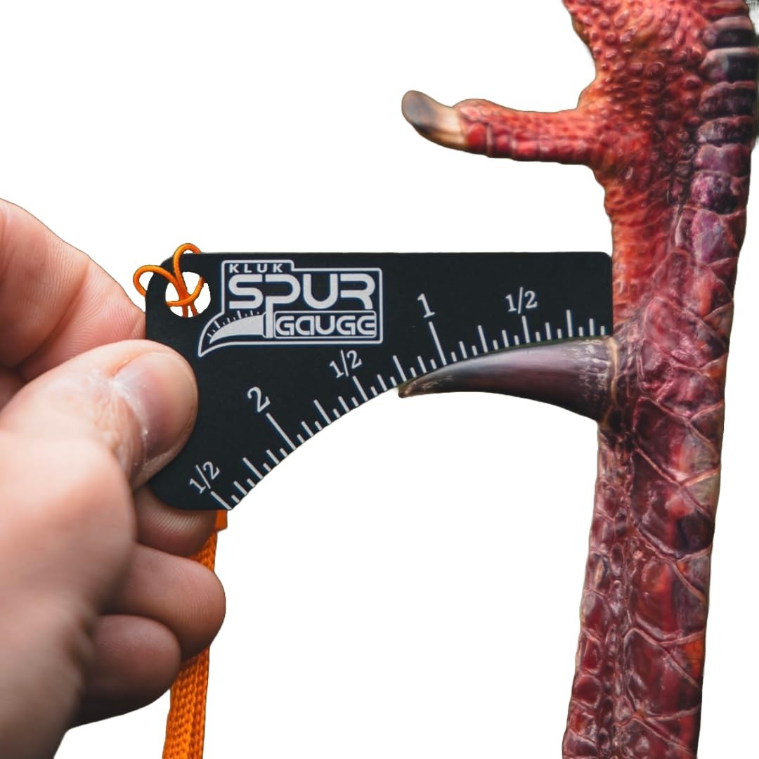 Spur Gauge, Anodized Aluminum, Black, Turkey Spur Measurement Tool, U.S. Pate...